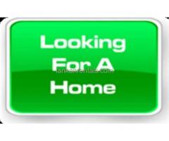 Wanted 3 Bedrooms House