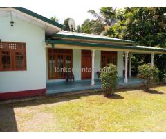 Single stored fully tiled house for rent