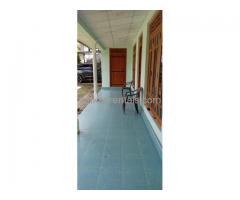 Single stored fully tiled house for rent