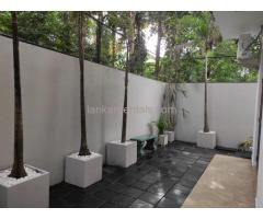 Luxury ground floor house/apartment for rent