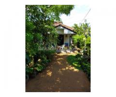 3 bedroom house Welisara