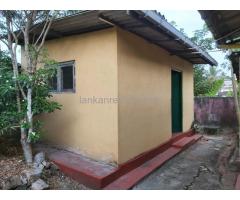 Room and Kitchen