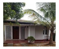 Ekala Millennium City House for Rent