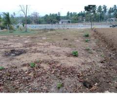 Land for sale in kurunegala (Dambokka)