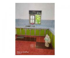 House for Rent in Colombo 05