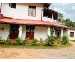 Newly build house for rent