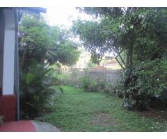 Colonial Style Spacious family home for rent ot lease in Demetagoda
