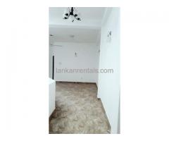 House for rent  in kirulapona