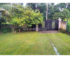 superb house for rent in Gampaha
