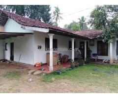 House for rent Bemulla