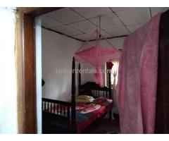 House for rent Bemulla