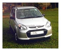 ALTO CAR FOR RENT