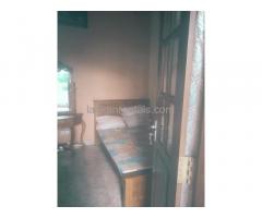 Annexe for Rent in Mudungoda Gampaha