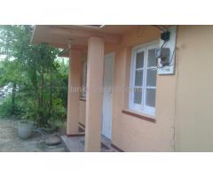 02 Bed Room House For Rent in Makola