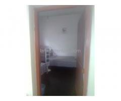 Room rent for male in col 08