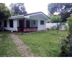 Rent a house in seeduwa