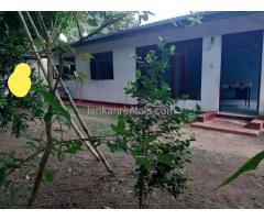 Kotte House for Rent