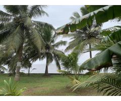 Land for lease in Kurana , Negambo