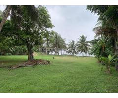 Land for lease in Kurana , Negambo