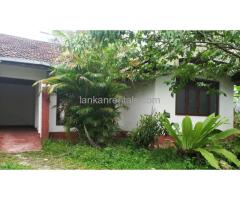 House for rent