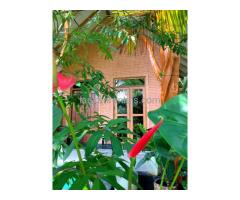 Luxury House For Rent Near Sigiriya
