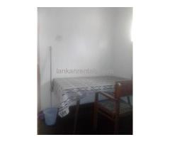 Room rent for male in col 08