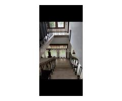 9 bed room house for rent