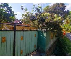 House for rent in ambathenne