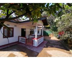 House for rent in ambathenne