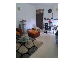 House for rent at Jalthara Homagama