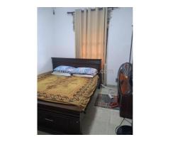 1st  floor  house for rent