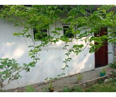 Annexe for rent