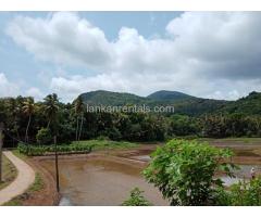 House for Rent in Doratiyawa, Kurunegala( 3 bed rooms )