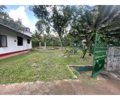 House for rent Dewalapola