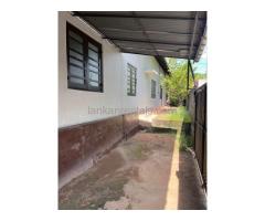 GREAT LAND INVESTMENT FOR A BUSINESS IN PITA KOTTE (price negotiable)