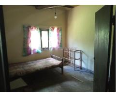 house for rent @ wathupitiwala,nittambuwa