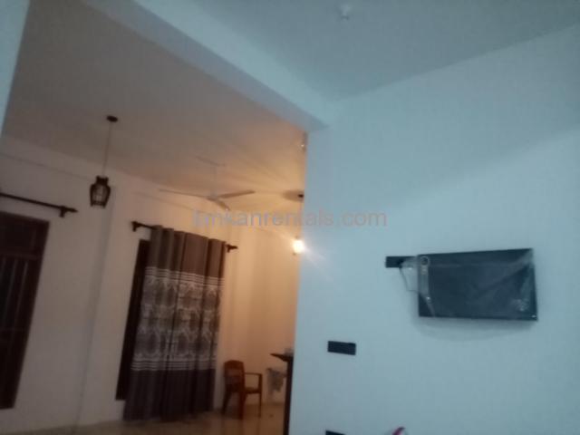 Newly constructed luxury furnished house for Rent