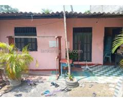 House for rent in Wellampitiya