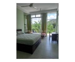 A spacious one bedroom apartment in Kandy city