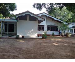 House for rent / lease