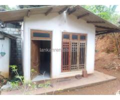 House for rent