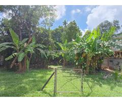 25 perches Land for rent in Kelaniya