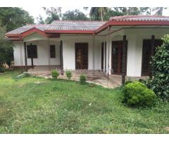 House for rent in dambulla