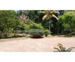 House for rent in Pinnawala, Waga