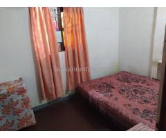 Sharing Room for Rent
