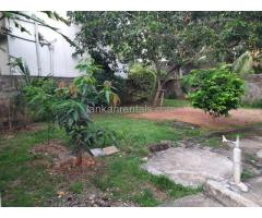 5 Bed Room Two Story House with a Huge Garden for rent - Nugegoda